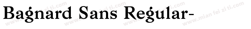 Bagnard Sans Regular字体转换